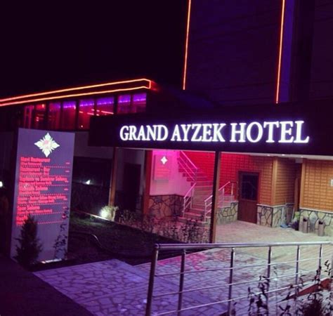 ordu ayzek hotel
